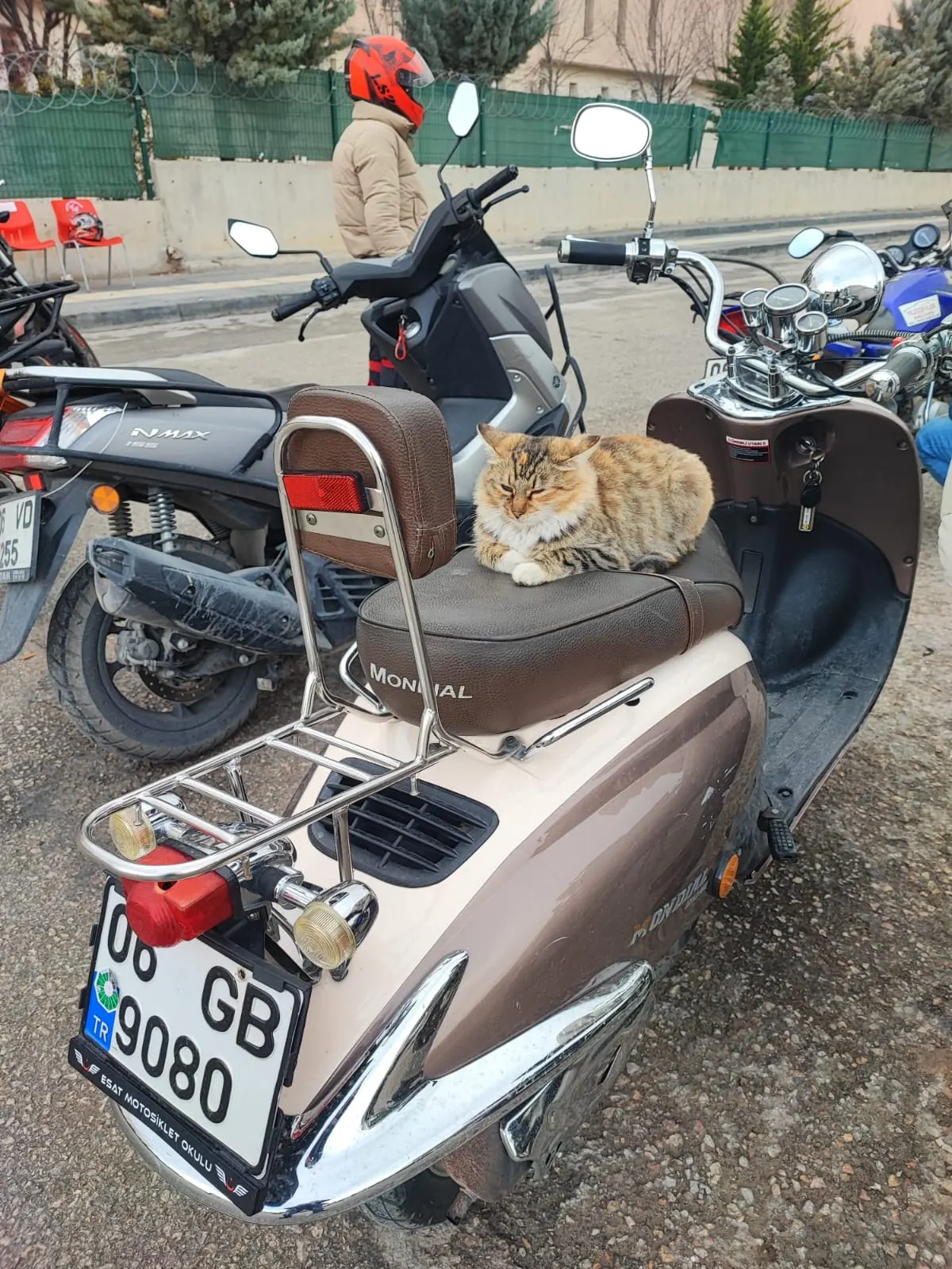 A1 OTOMATİK SIINIF EHLİYET